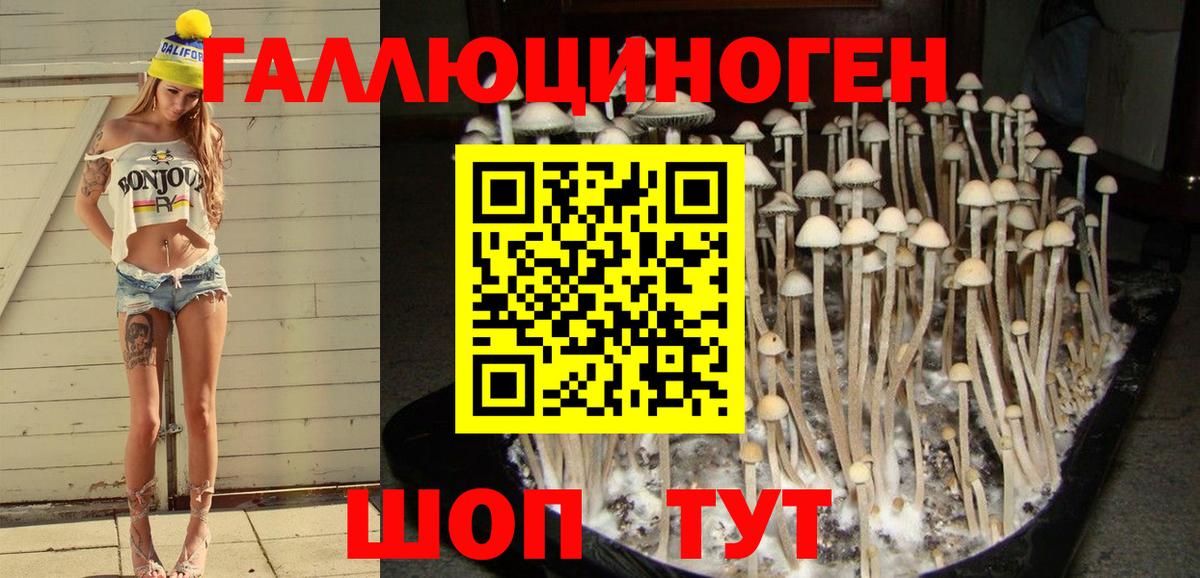 Семилуки  Галлюциногенные грибы Magic Shrooms  Вход с VPN  Галлюциногенные грибы Psilocybe 