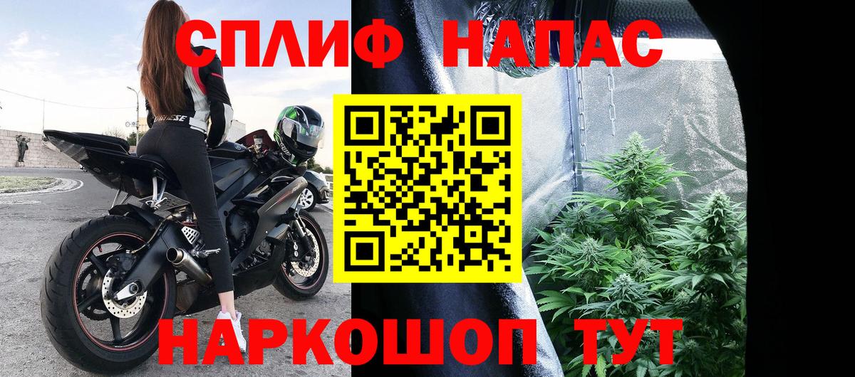 Марихуана AK-47  Вход с VPN  Семилуки  Канабис гибрид  Бошки марихуана семена 